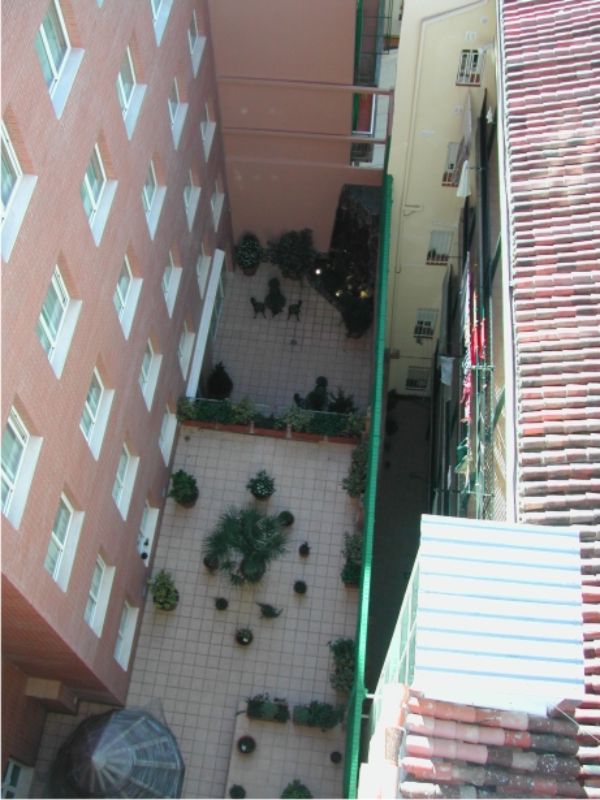 rehabilitacion de patios